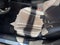 2023 Honda Accord Hybrid Sport Leather, Moonroof