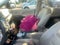 2019 Toyota Sienna XLE Premium 8 Passenger