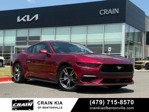 2025 Ford Mustang EcoBoost - CLEAN CARFAX / ONE OWNER
