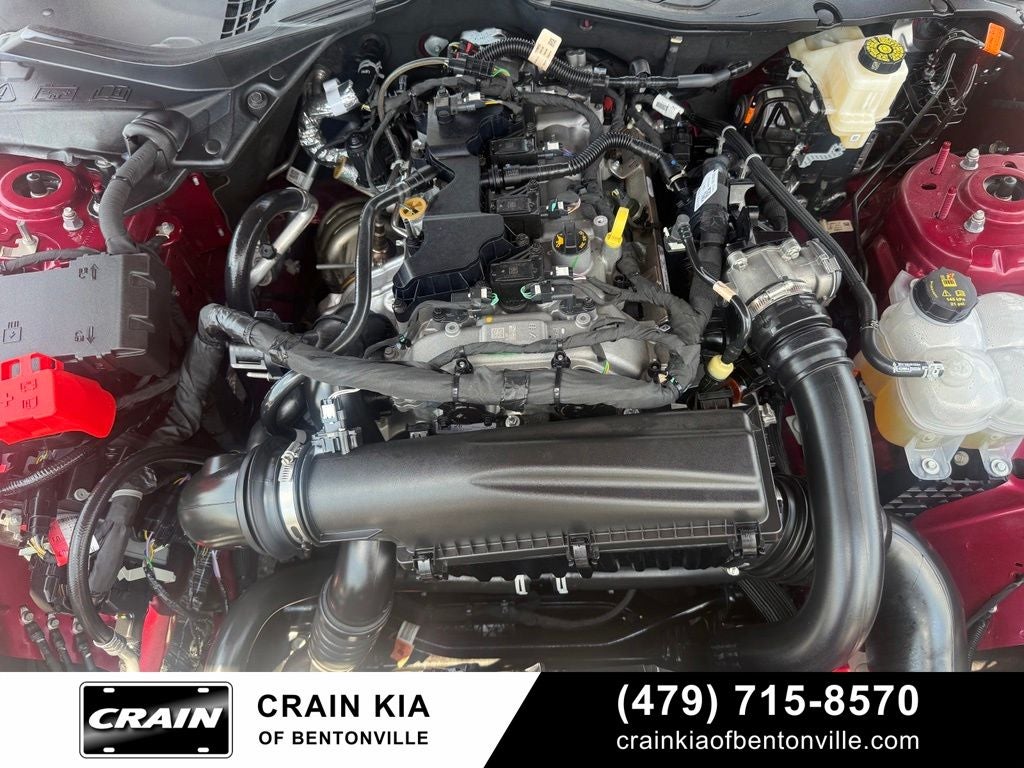 2025 Ford Mustang EcoBoost - CLEAN CARFAX / ONE OWNER