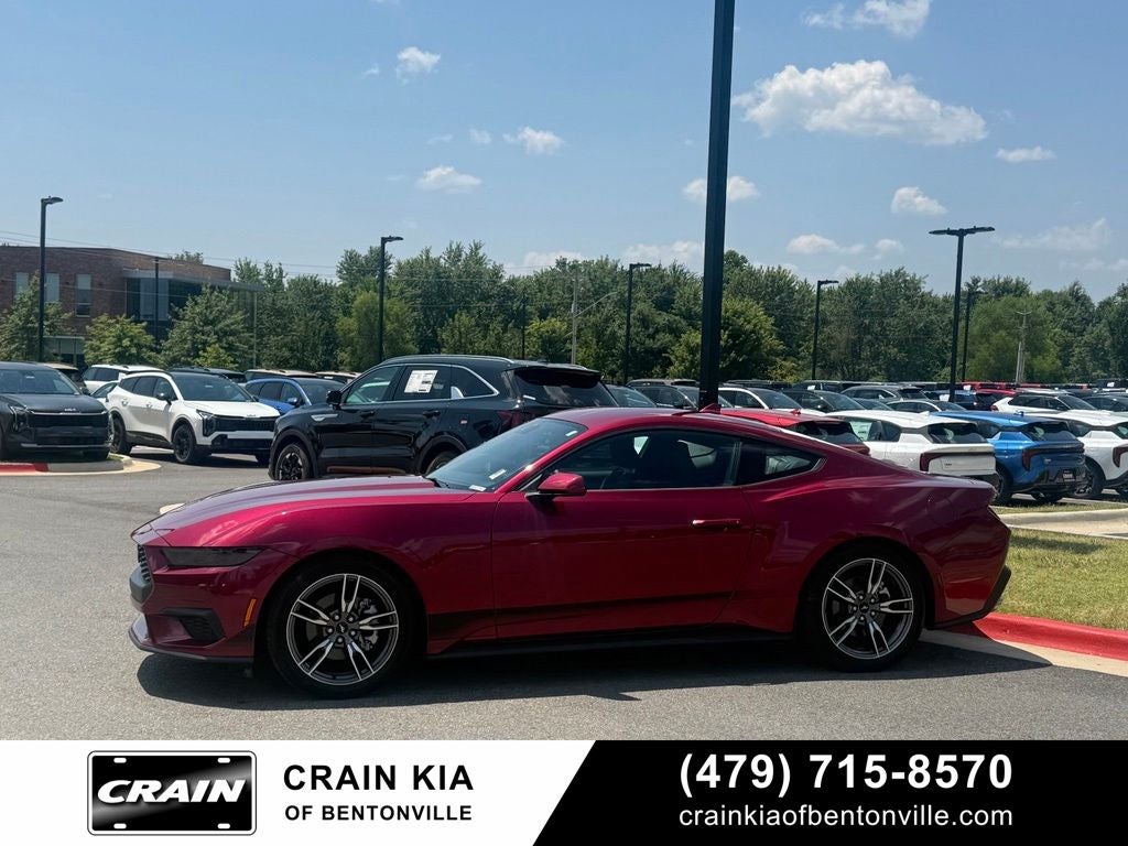 2025 Ford Mustang EcoBoost - CLEAN CARFAX / ONE OWNER