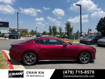2025 Ford Mustang EcoBoost - CLEAN CARFAX / ONE OWNER