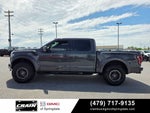2020 Ford F-150 Raptor Twin Panel Roof Carbon Fiber
